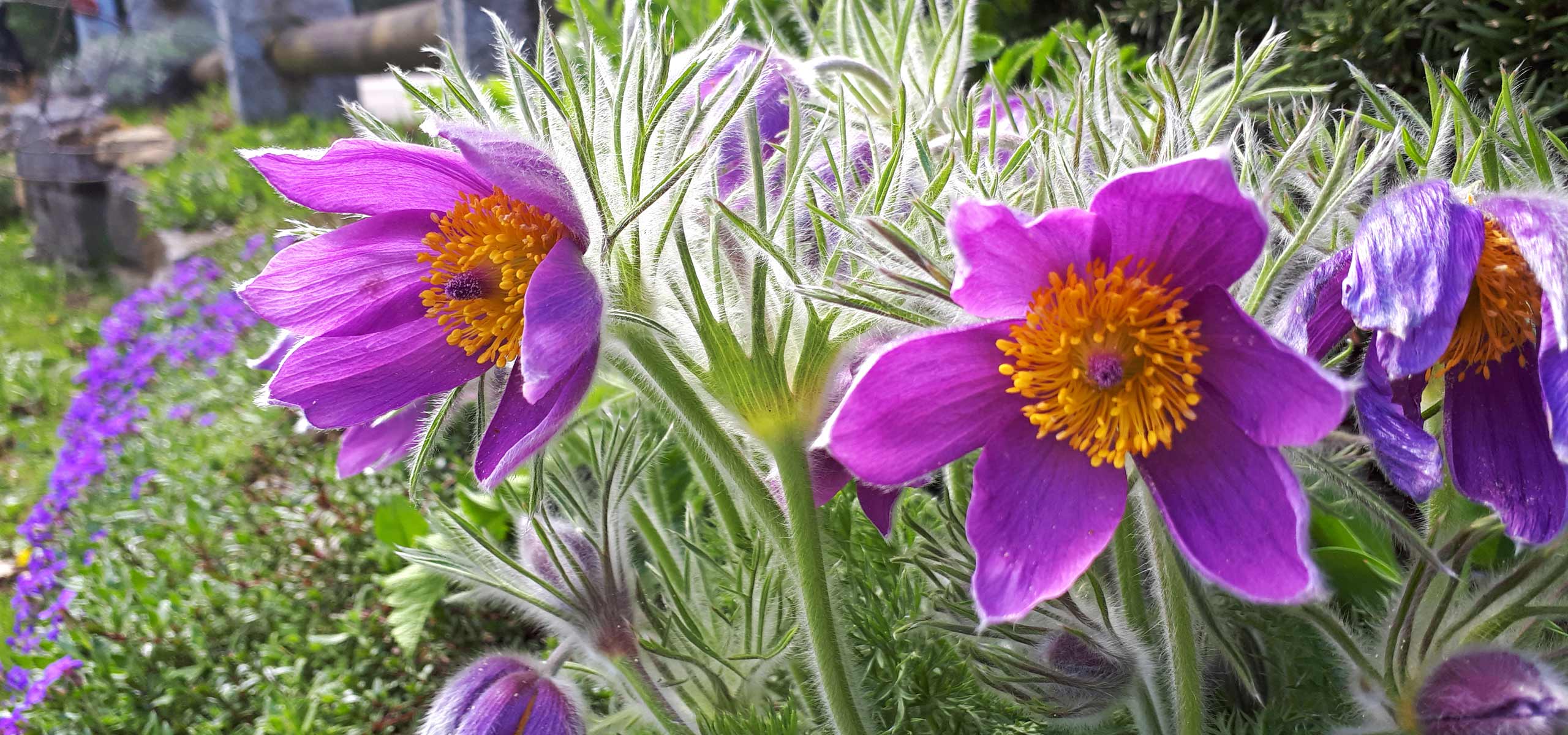 Urlaub machen auf dem Bauernhof und Ferienhof Birkenhof in Burgberg im Allgäu - Gästezimmer
