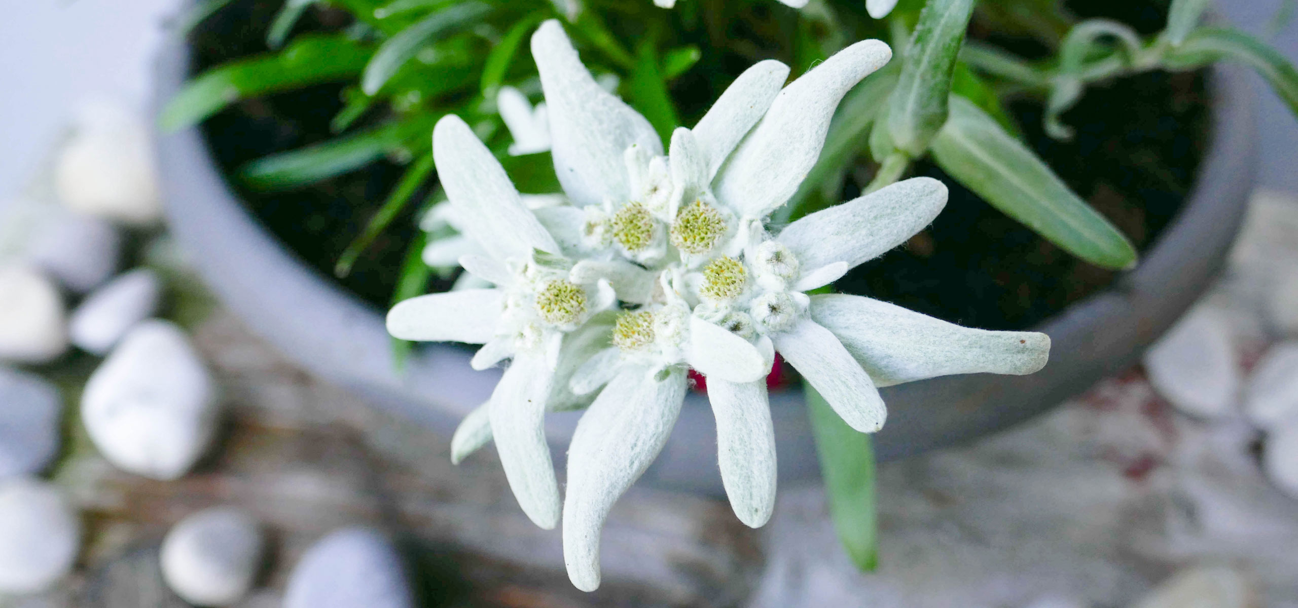 Preise und Informationen