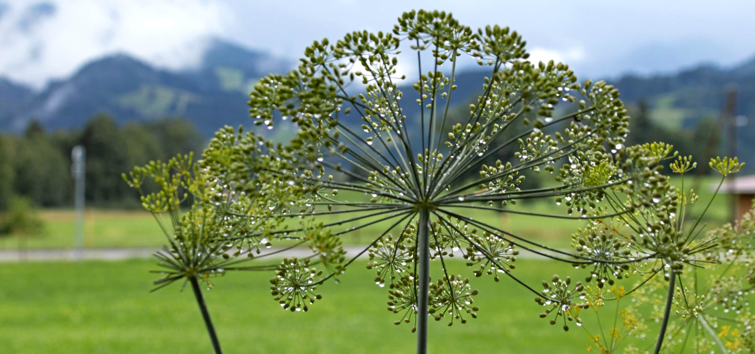 Urlaub machen auf dem Bauernhof und Ferienhof Birkenhof in Burgberg im Allgäu - Gästezimmer