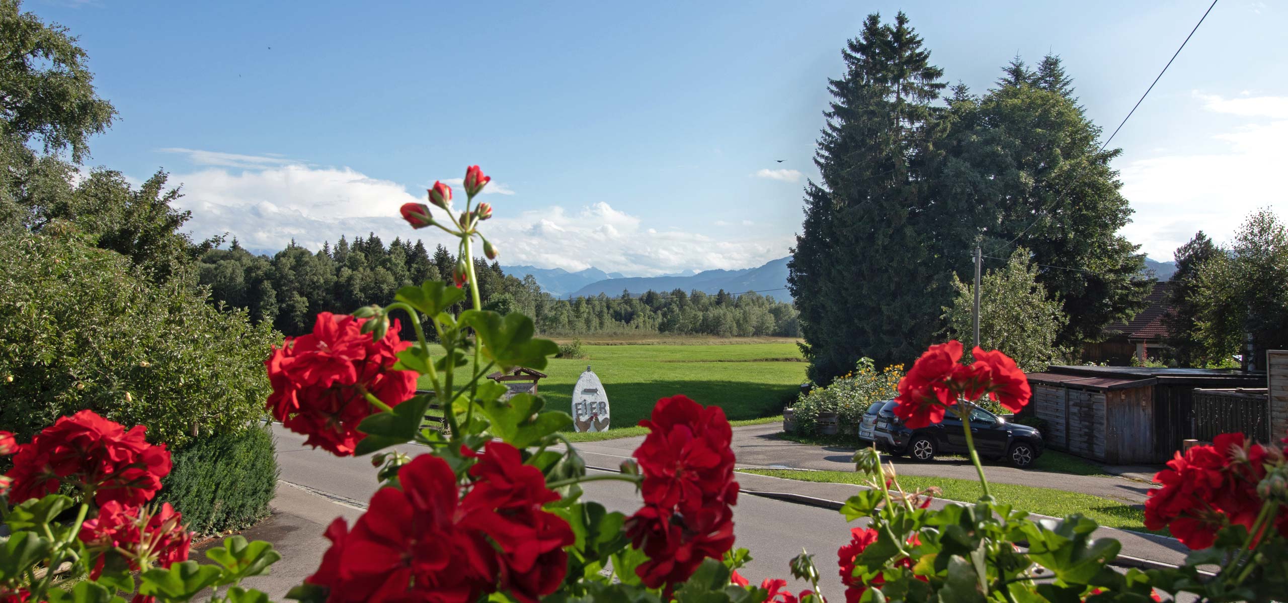 Bauernhof Birkenhof, Ruhige Ländliche Lage im Oberallgäu